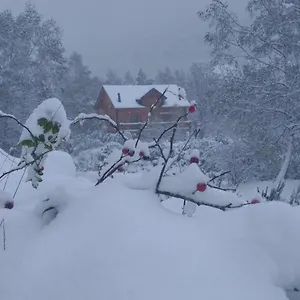 Bois Au Milieu Des Pyrénées Chalet